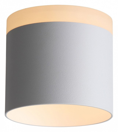 Накладной светильник ST-Luce Panaggio ST102.502.12 