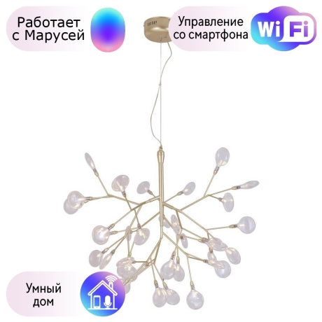 Подвесная люстра Crystal Lux с поддержкой Маруся EVITA SP36 GOLD/TRANSPARENT-М 