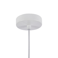 Подвесной светильник с лампочкой Favourite 4102-1P+Lamps