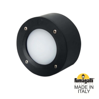 2S1.000.000.AYG1L Уличный настенный светильник Fumagalli Extraleti