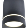 Нарушена упаковка!  <132558> Накладной светодиодный светильник Arte Lamp A1909PL-1BK