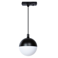 Однофазный светильник на подвесе для трека Virgo Arte Lamp A4564PL-1BK