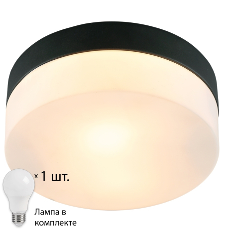 Светильник с лампочкой Arte lamp Aqua-tablet A6047PL-1BK+Lamps 