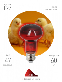 Нарушена упаковка!  <383566> Инфракрасная лампа ЭРА ИКЗК 230-60 R63 Е27 для обогрева животных 60 Вт Е27