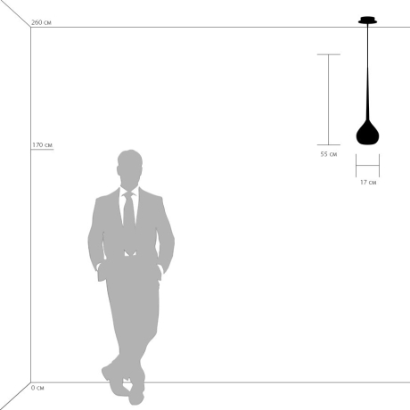 808110 Светильник подвесной LightStar Forma 