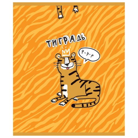 Нарушена упаковка!  <402515> Тетрадь А5 48 л. ПЗБМ, скоба, клетка, фольга, конгрев, TWIN лак, "Тиградь" (5 видов), 029135 (404334)