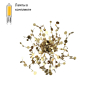 Бра в комплекте с Led лампами CRYSTAL LUX GARDEN AP-PL3 D400 GOLD+Lamps 