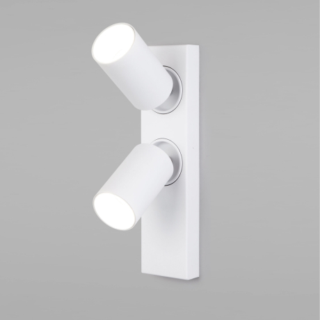 Спот Flank Eurosvet 20139/2 LED белый 