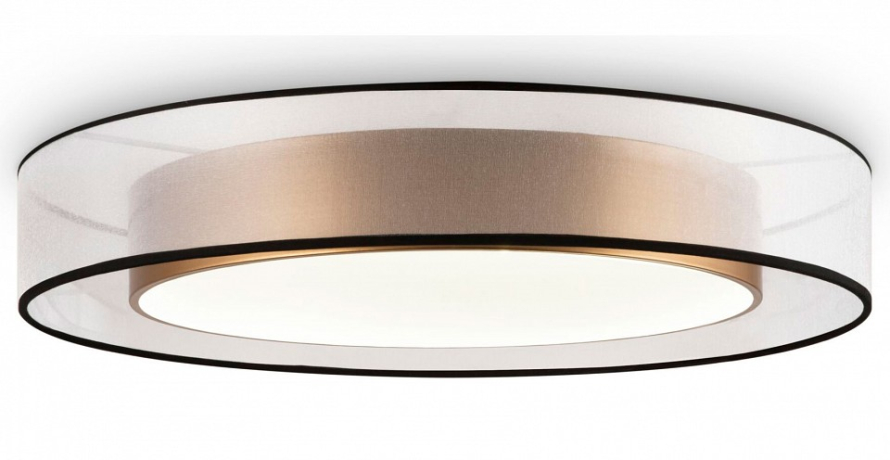 Накладной светильник Freya Zoticus FR6005CL-L48G 