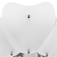 Потолочный светильник Lightstar Lobo 804020