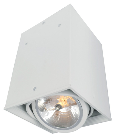 Накладной светильник Arte Lamp Cardani A5936PL-1WH 
