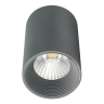 Накладной светильник Escada 20003 20003SMU/01LED SGY