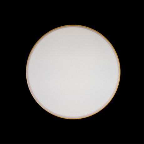 Накладной светильник Loft it Axel 1 10002/24 Yellow 