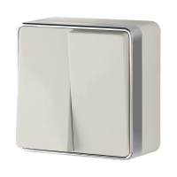 Выключатель  двухклавишный Gallant (слоновая кость) Werkel W5020003