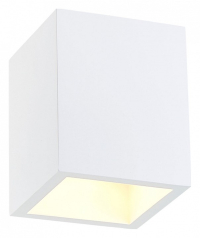 Накладной светильник SIMPLE STORY 2019 2019-1CLW