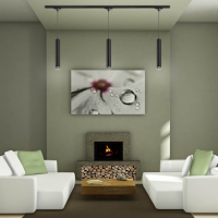 Однофазный светильник для шинопровода с лампочкой Novotech 370401+Lamps