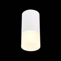 Накладной светодиодный светильник ST Luce ST100.512.01