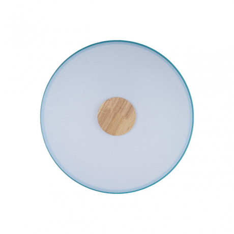 Потолочный светодиодный светильник Axel Loft It 10003/24 Blue 