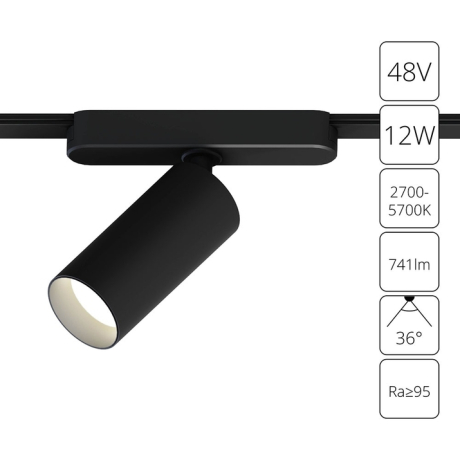 Светильник на штанге Arte Lamp Rapid A2958PL-1BK 