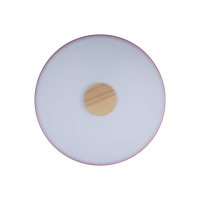 Потолочный светодиодный светильник Axel Loft It 10003/24 Pink