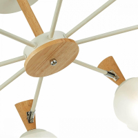 Люстра на штанге Evoluce Catania SLE220702-08