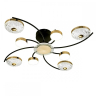 Потолочная люстра Escada Liberta 10208/8LED 