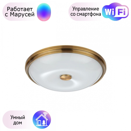 Настенно-потолочный светильник Pelow Odeon Light с поддержкой Маруся 4956/4-М 