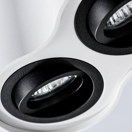 Потолочный светильник Arte Lamp Falcon A5644PL-2WH 