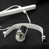 LSP-8098 Подвесная люстра Lussole Lgo