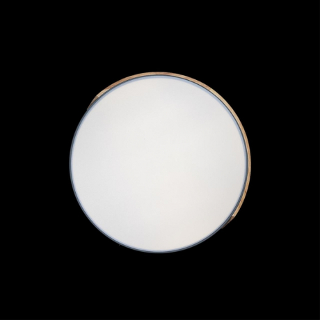 Потолочный светодиодный светильник Axel Loft It 10004/36 Grey 