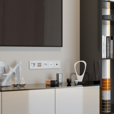 Накладка для розетки с заземлением и 2хUSB Werkel Hammer белый W1279501