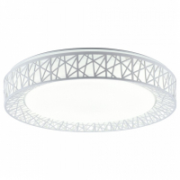 Накладной светильник TopLight Diana TL1204X-72WH