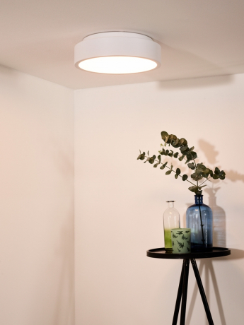 46100/20/31 Потолочный светодиодный диммируемый светильник Lucide Talowe 