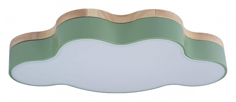 Накладной светильник Loft it Axel 4 10005/30 Green 