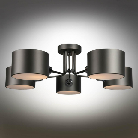 Люстра потолочная с лампочками Omnilux OML-54507-05+Lamps 