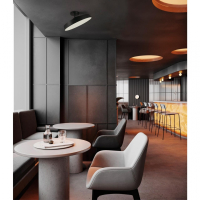 Спот Sonex Mitra Mira Black 7656/48L