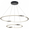 Подвесной светильник Arte Lamp Veritate A2211SP-2BK 