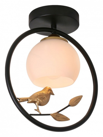 Накладной светильник Escada Song 1113/1P Black 