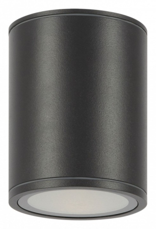 Накладной светильник Maytoni Outdoor Bar O306CL-L12GF