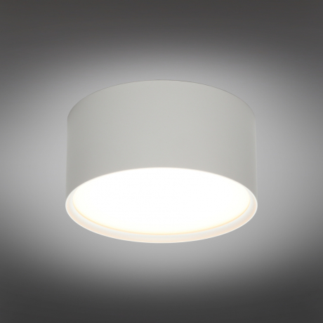 Накладной светильник Omnilux Abano OML-103309-12 