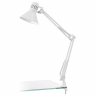 Настольная лампа офисная Eglo Firmo 90872 