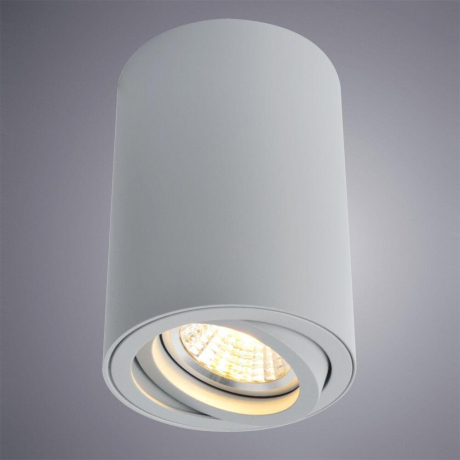 A1560PL-1GY Точечный накладной светильник Arte Lamp