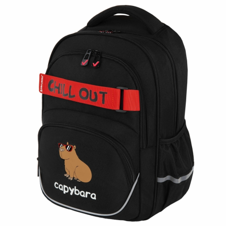 Нарушена упаковка!  <722850> Рюкзак BRAUBERG MOTION, 2 отделения, 3 кармана, "Calm capy", СВЕТЯЩИЙСЯ, 41х28х17 см, 272032