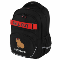 Нарушена упаковка!  <722850> Рюкзак BRAUBERG MOTION, 2 отделения, 3 кармана, "Calm capy", СВЕТЯЩИЙСЯ, 41х28х17 см, 272032