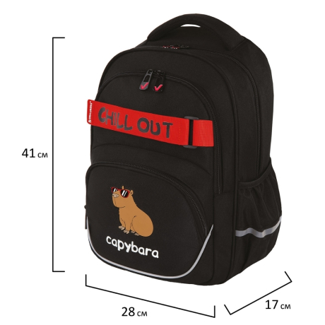 Нарушена упаковка!  <722850> Рюкзак BRAUBERG MOTION, 2 отделения, 3 кармана, "Calm capy", СВЕТЯЩИЙСЯ, 41х28х17 см, 272032