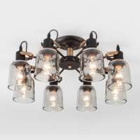 Потолочная люстра Eurosvet Astor 70111/8 черный (a047619)