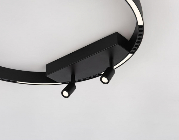 Потолочный светильник Ambrella light Comfort Line FL5808 