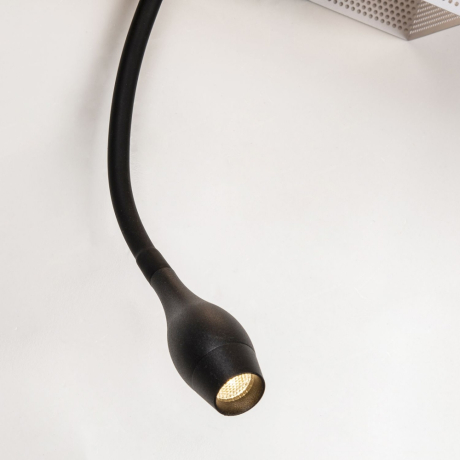 Бра с подсветкой Favourite Twin 4066-2W 