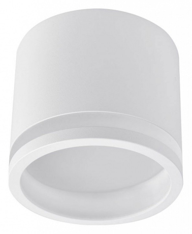 Накладной светильник Favourite Festum 4213-1C 