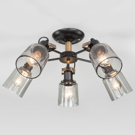 Потолочная люстра Eurosvet Astor 70111/5 черный 